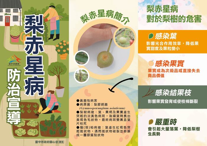 宣傳海報圖片